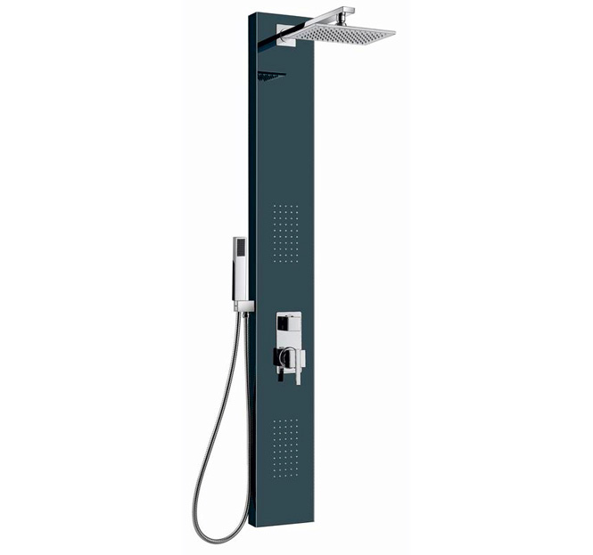 Dusel shower enclosure