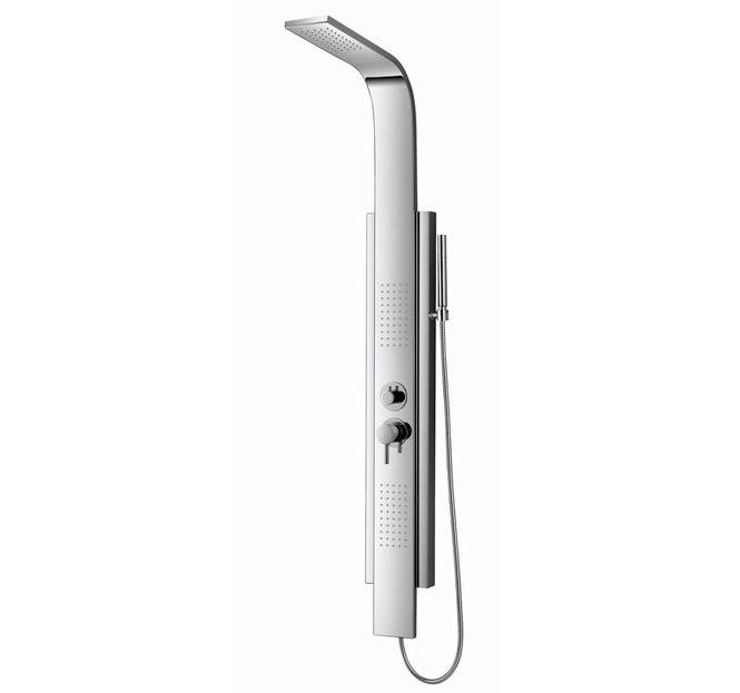 Dusel shower enclosure