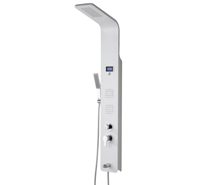 Dusel shower enclosure